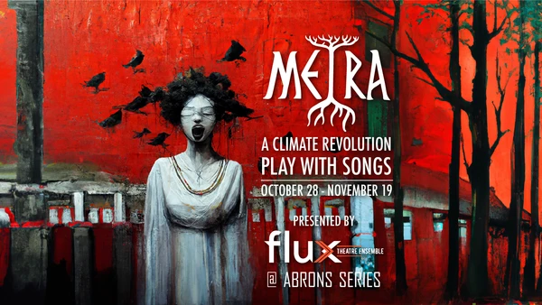 Metra poster
