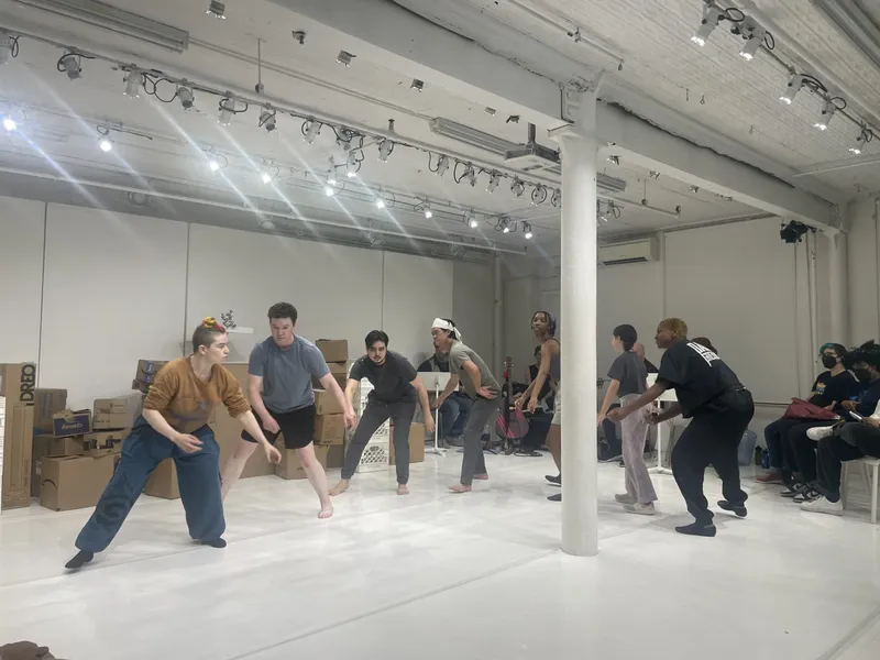 THE ELEPHANT PLAY Photos