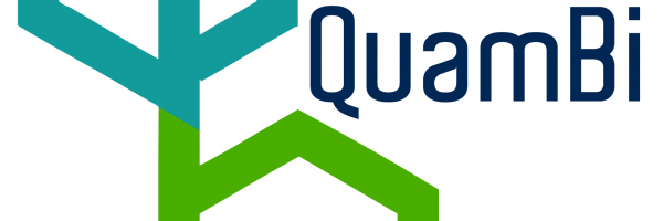 DEINDE: The QuamBi Logo